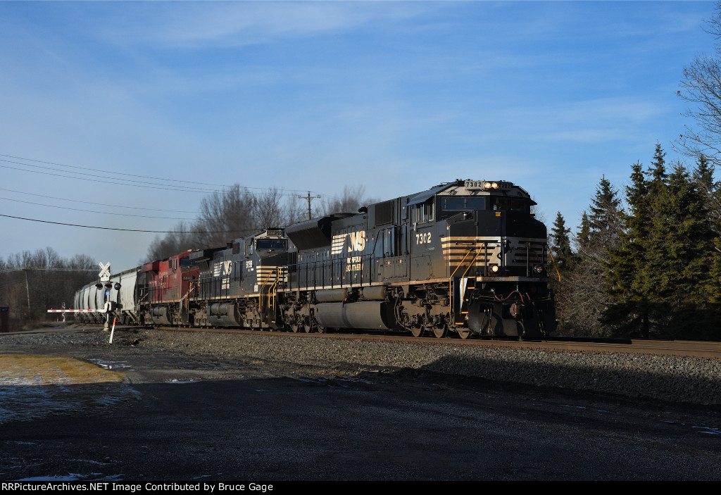 NS 7302